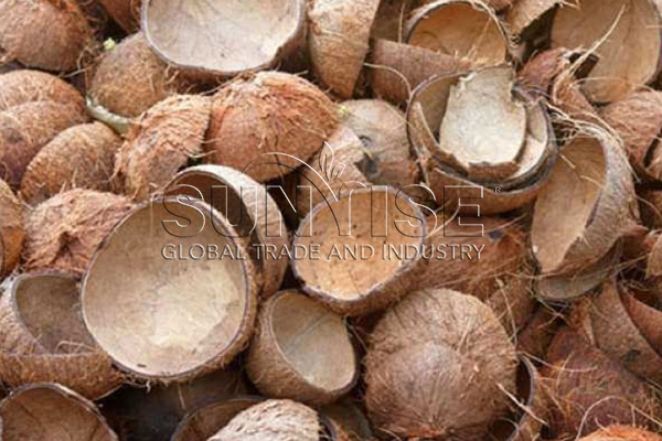 Coconut Shell